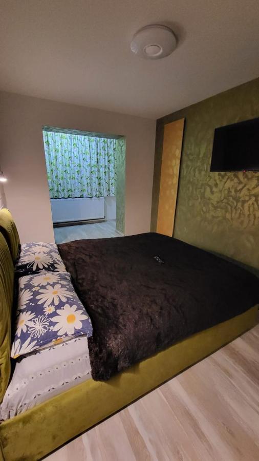Appartement Safta